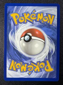 Pokemon Phanpy Illustration Rare IR FUll Art Holo 205/191 Surging Sparks - Image 3