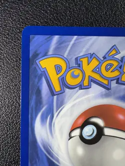 Pokemon Phanpy Illustration Rare IR FUll Art Holo 205/191 Surging Sparks - Image 4