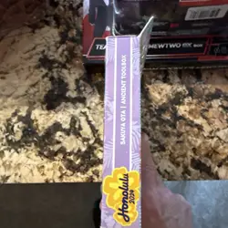 Pokemon TCG Sakuya Ota 2024 World Championships Deck - FACTORY SEALED - Image 3