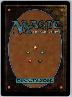 Stormcarved Coast R Secrets of Strixhaven 263 NM - Image 2