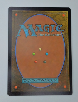 Quandrix the Proof Borderless Foil 286 Secrets of Strixhaven Magic the Gathering - Image 4