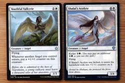 Lot 10 Best Uncommon Angels *NM* Set Magic MTG Group Emancipation Serra Angel - Image 2