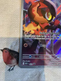 Pokemon TCG Charcadet Full Art Promo Phantasmal Flames - Image 4