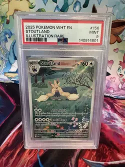 2025 Pokemon WHT EN Stoutland Illustration Rare #156 - PSA 9 Mint - Image 1