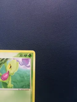Pokemon Card Treecko 80/97 EX Dragon Common - Image 3