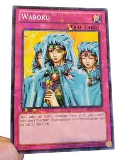 BP02-EN170 Waboku : Mosaic Rare 1st Edition Near Mint YuGiOh Card - Image 1