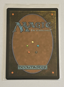 MTG The Wandering Rescuer - Showcase - Duskmourn - #351 - Image 2