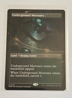 MTG Underground Mortuary - Borderless - Murders at Karlov Manor - #333 - Image 1
