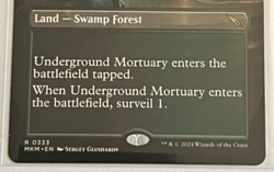 MTG Underground Mortuary - Borderless - Murders at Karlov Manor - #333 - Image 3