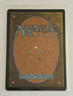 MTG Hedge Maze - Borderless Foil - Murders at Karlov Manor - #326 - Image 2