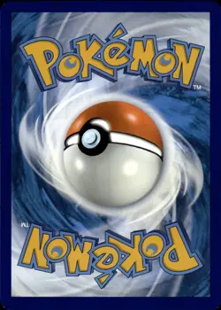 Lycanroc 166/159 Journey Together Illustration Rare NM Pokemon TCG - Image 2