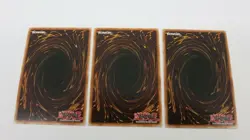 3x LUNALIGHT WOLF PLAYSET 1ST EDITION SHVI-EN012 COMMON YUGIOH NM / UNPLAYED - Image 2