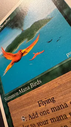 MTG 1x Birds of Paradise Core Set 4th Edition Magic Gathering x1 Excellent - Image 3