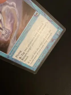 Tradewind Rider Tempest Mtg - PLD - - Image 4