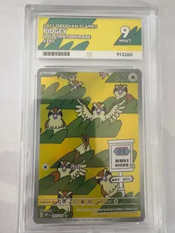 Pidgey 207/197 Illustration Rare Obsidian Flames 2023 Pokemon TCG ACE 9 Mint - Image 1