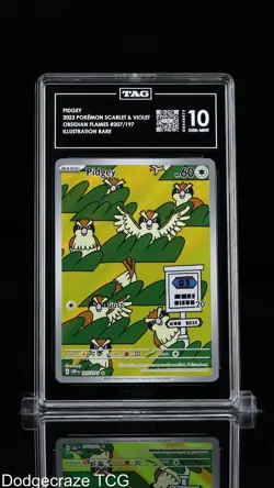 2023 Pokemon Obsidian Flames Pidgey Illustration Rare 207/197 Tag 10 Gem Mint - Image 1