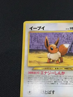 Eevee - No.133 (JP Premium File 2) NO.133 Miscellaneous Cards & Products Regular - Image 3