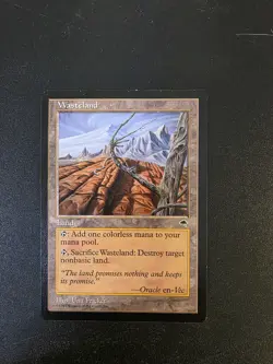 Wasteland Tempest NM x1 MTG Magic the Gathering Card - Image 1