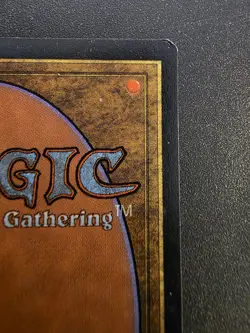 Wasteland Tempest NM x1 MTG Magic the Gathering Card - Image 3