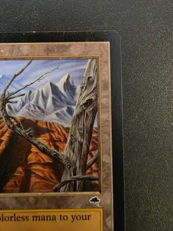 Wasteland Tempest NM x1 MTG Magic the Gathering Card - Image 4