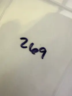 Magic the Gathering: Beta Flashfires MTG Beta - Image 3