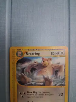 Pokemon Ursaring 110/144 Skyridge NM Fast Ship - Image 3