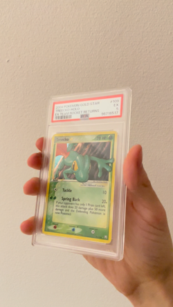 Treecko GOLD STAR - PSA 5 - English - Ex Team Rocket Returns - 109/109 - Image 2