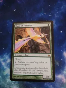 Birds of Paradise Ravnica: City of Guilds Regular - Image 1