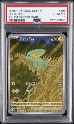 2025 POKEMON DRI EN-DESTINED RIVALS ILLUSTRATION RARE #196 ELECTRIKE PSA 10 - Image 1