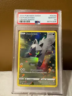 PSA 10 FULL ART Poochyena #GG33 Pokemon 2023 CROWN ZENITH - Image 1