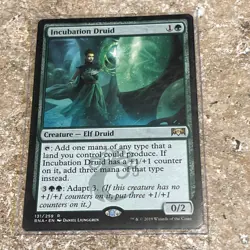 Incubation Druid Ravnica Allegiance Regular FREE SHIPPING - Image 1