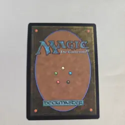 Grave Researcher (Extended Art) #325 (Foil) NM Secrets of Strixhaven Magic MTG - Image 2