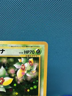 Bellossom 2000 182 HOLO NEO Japanese NM US Seller - Image 3