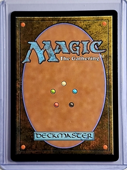2023 MTG Magic the Gathering Secret Lair Borderless Foil #777 Reclamation Sage - Image 2