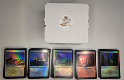 250 Foil Lands- Adventures in the Forgotten Realms (AFR) bulk set (50 ea. color) - Image 1