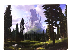 Forest - Art Series: Adventures in the Forgotten Realms - 61/81 - Image 1
