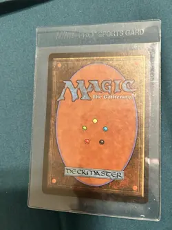 Savannah 1994 Magic: The Gathering Revised Edition (C) Near Mint Condition Wow! - Image 5