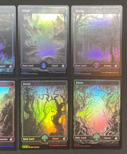 MTG – Innistrad: Midnight Hunt – Full Art Land Set (#268-277) – FOIL - NM - Image 5