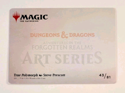 True Polymorph - Art Series: Adventures in the Forgotten Realms - 43/81 - Image 2