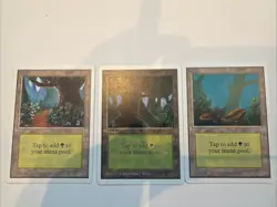 MTG Forest Unlimited Set w/ A, B, C Variants - LP - Image 1
