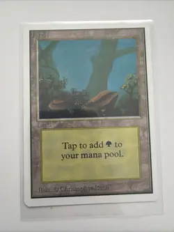 Magic the Gathering ~ MTG ~ 1x Forest (A) ~ UNLIMITED ~ LP ~ - Image 1