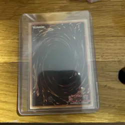 MP Yugioh Red-Eyes Black Dragon SDJ-001 1st Edition Holo Rare Yu-Gi-Oh! - Image 2