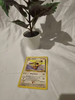 Pokemon TCG - Pidgeot 24/64 - Jungle Set Unlimited - Non-holo - Moderate Play - Image 1