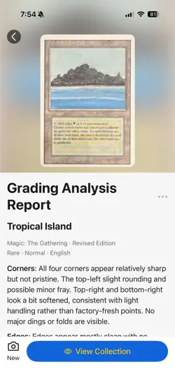 MTG Tropical Island Revised Edition - Great Condition - Image 3