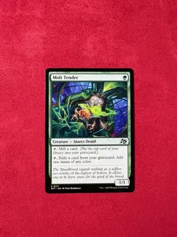 Molt Tender - Aetherdrift Magic The Gathering MTG DFT #171 - Image 1