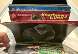 Weird N Wild Creatures Cards and Box Set, Incomplete, Used - Image 5