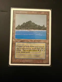 Tropical Island Unlimited MTG - Image 3