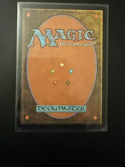 Tropical Island Unlimited MTG - Image 4