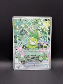 Petilil 091/086 IR Black Bolt ILLUSTRATION RARE HOLO Pokemon TCG English Foil EN - Image 2