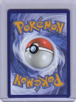 Pokemon - Galarian Moltres SWSH284 Sword & Shield Illustration Rare Black Promo - Image 2